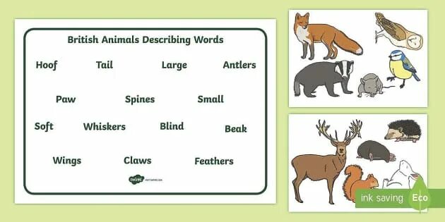 Fill in natural animal. Describe the animals for Kids. Adjectives describing animals. Describing animals прилагательные. Animals Words.