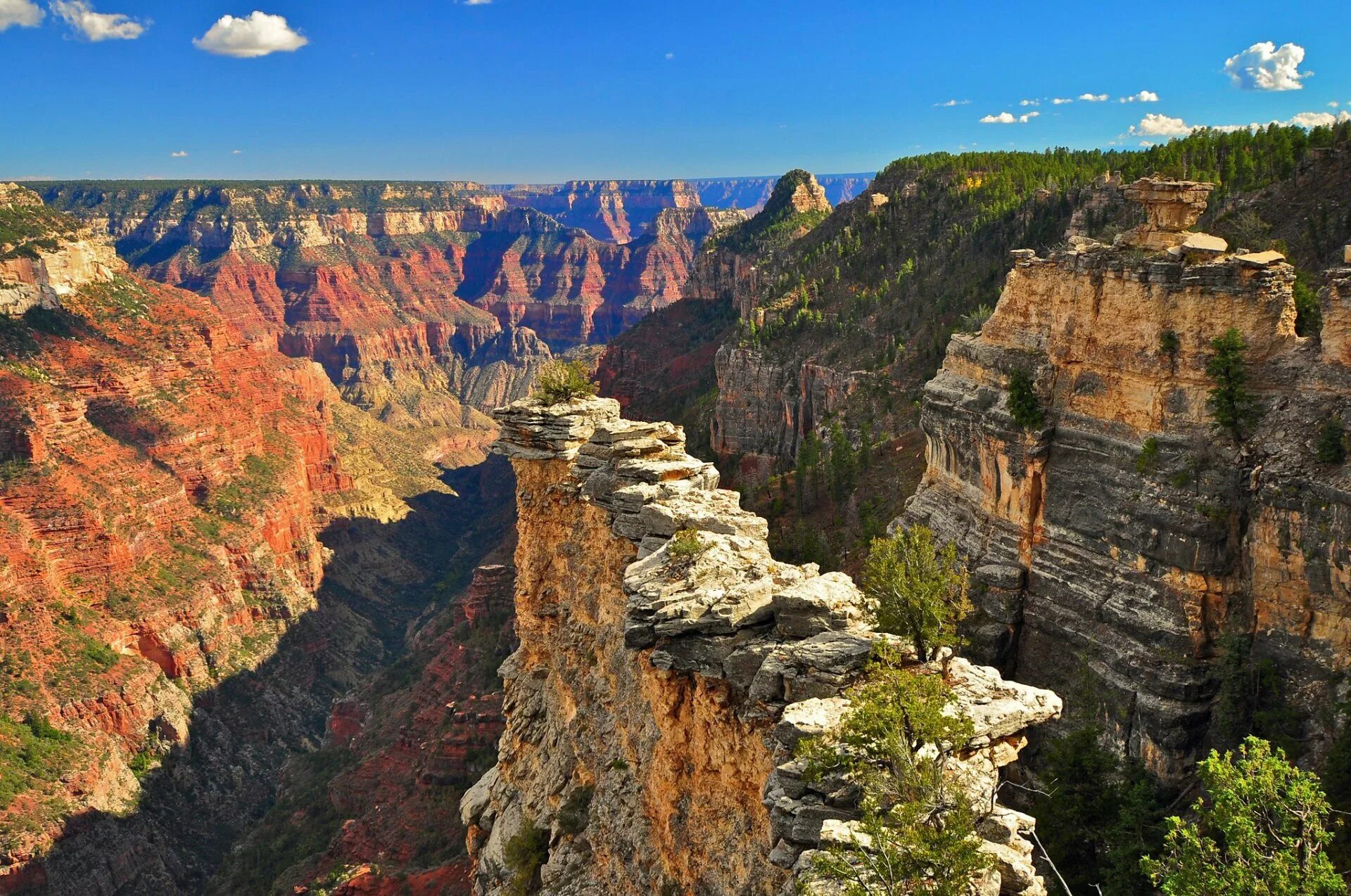 Скала америка