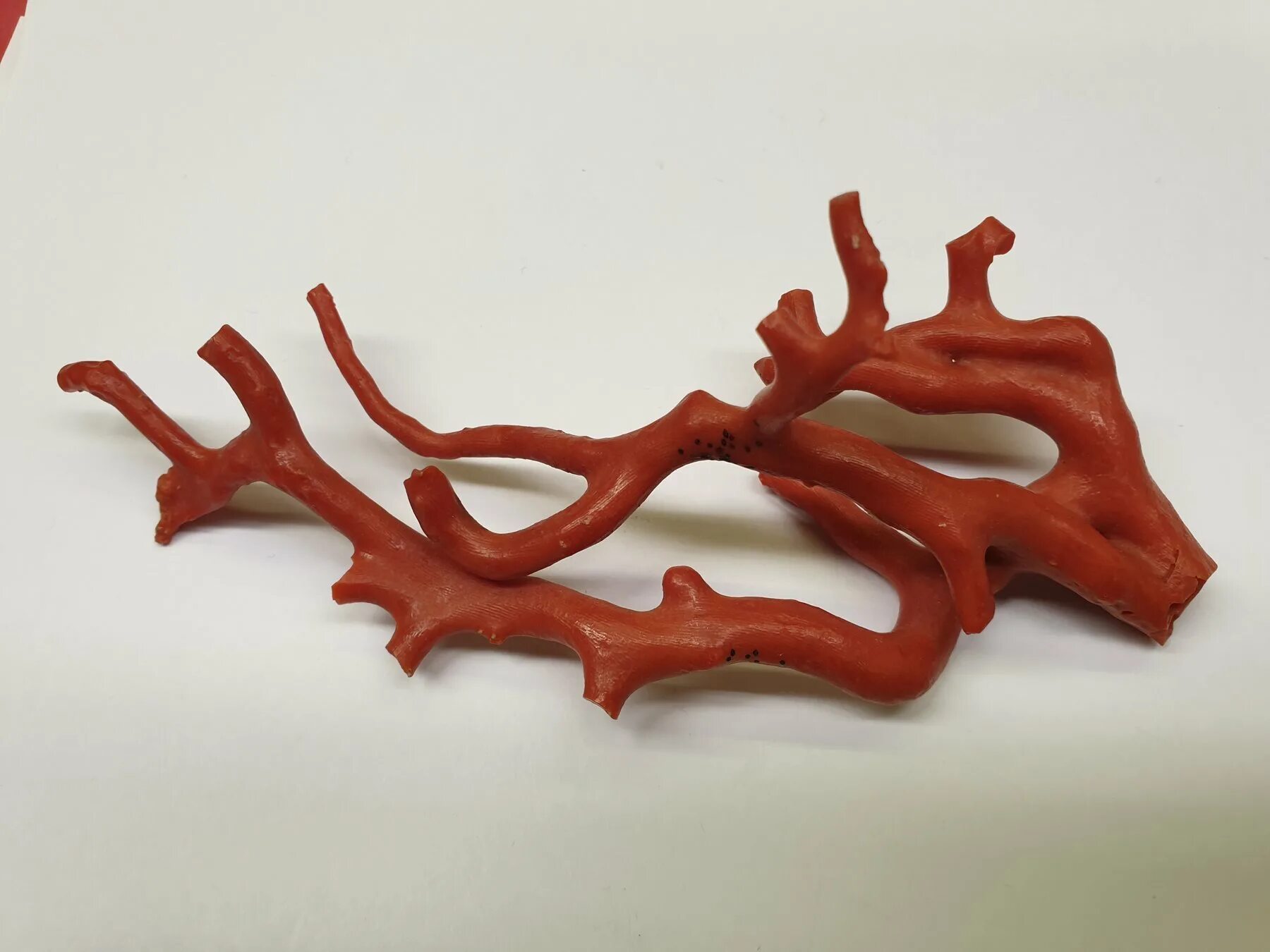 Образец пластичного коралла. Образец пластинчатого коралла. Пластинчатый коралл subnautica. Гаргония синяя коралл. Клипарт стол из коралла.