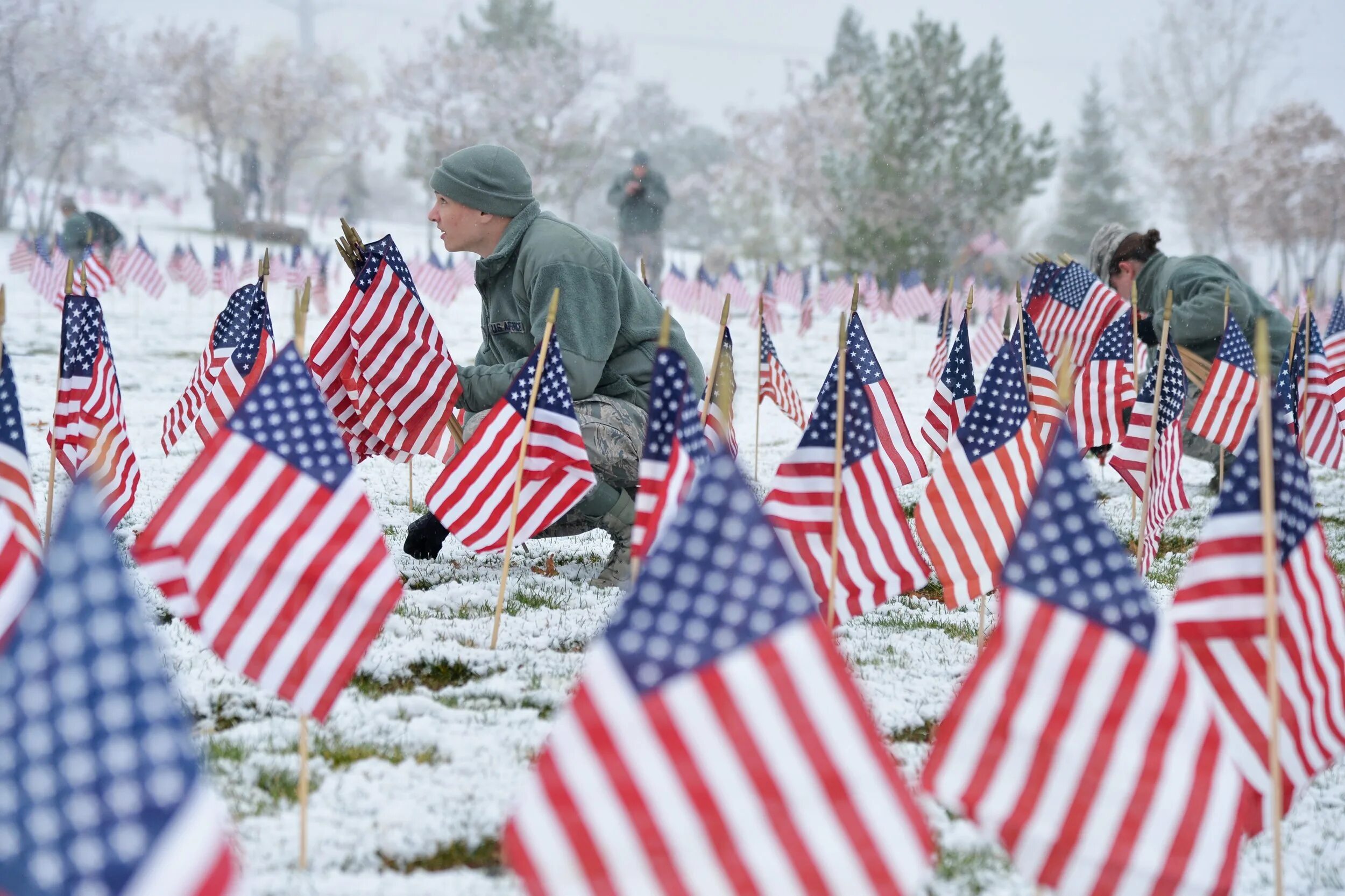 Veterans day. Veterans Day traditions. Veteran's Day. Veterans Day in USA School. День ветеранов в США картинки.