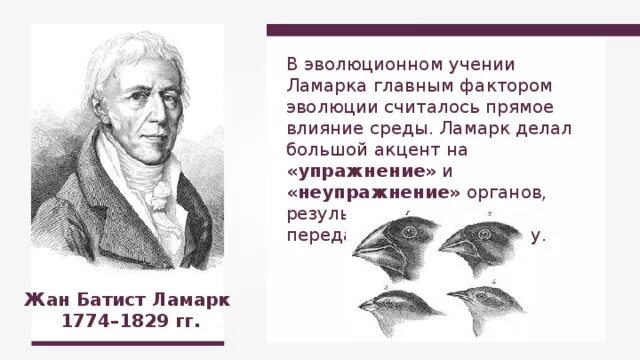 Согласно эволюционному учению ламарка возникновение. Согласно эволюционному учению ламарка возникновение. Теория жана батиста ламарка. Согласно эволюционному учению ламарка возникновение. Эволюционная теория ламарка.