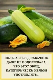 Можно ли есть горькие кабачки