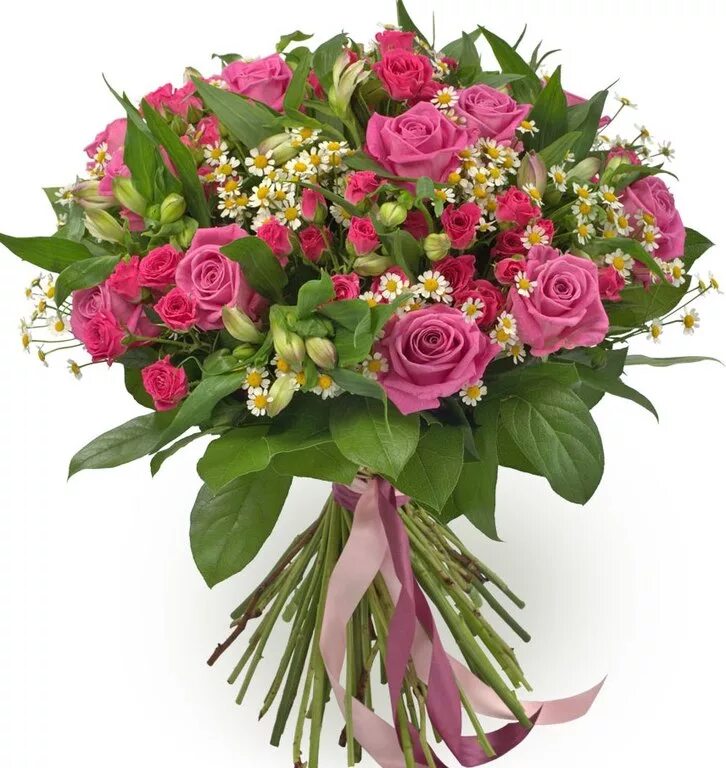 Букет женщине на 50. Букет розы хризантемы альстромерии Салал. Танацетум с альстромерией букет. Танацетум и альстромерия.
