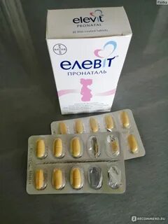 Элевит 1