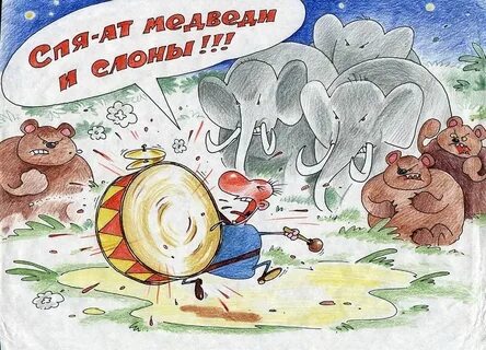Спят медведи и слоны