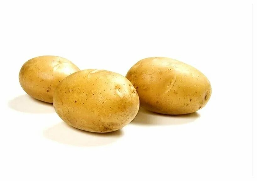 Картофель ариэль описание сорта. Картофель ариэль описание сорта. Посадочный картофель. Ривьера сорт картофеля. Уборка картофеля аризона.