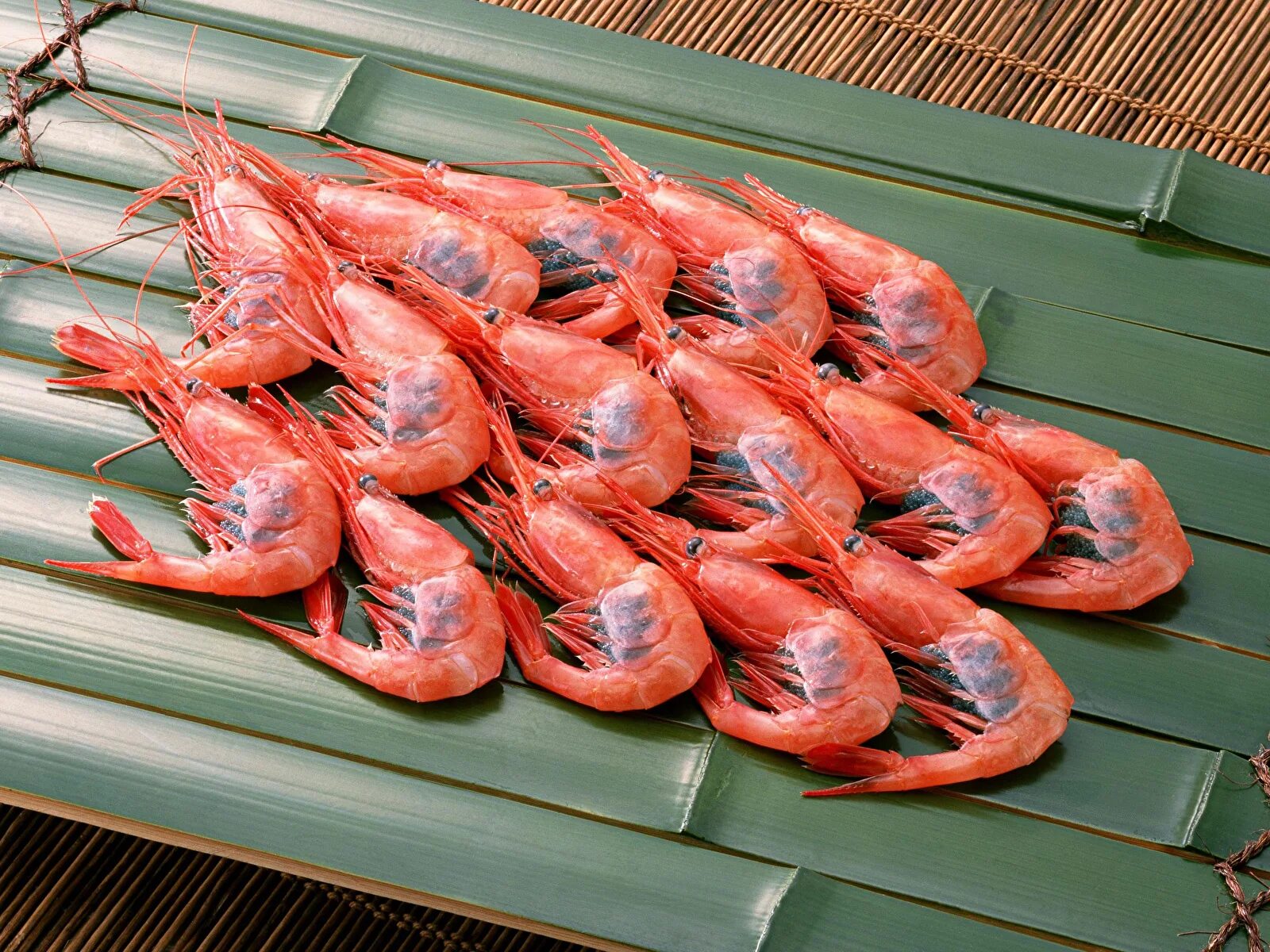 креветка красивая фото