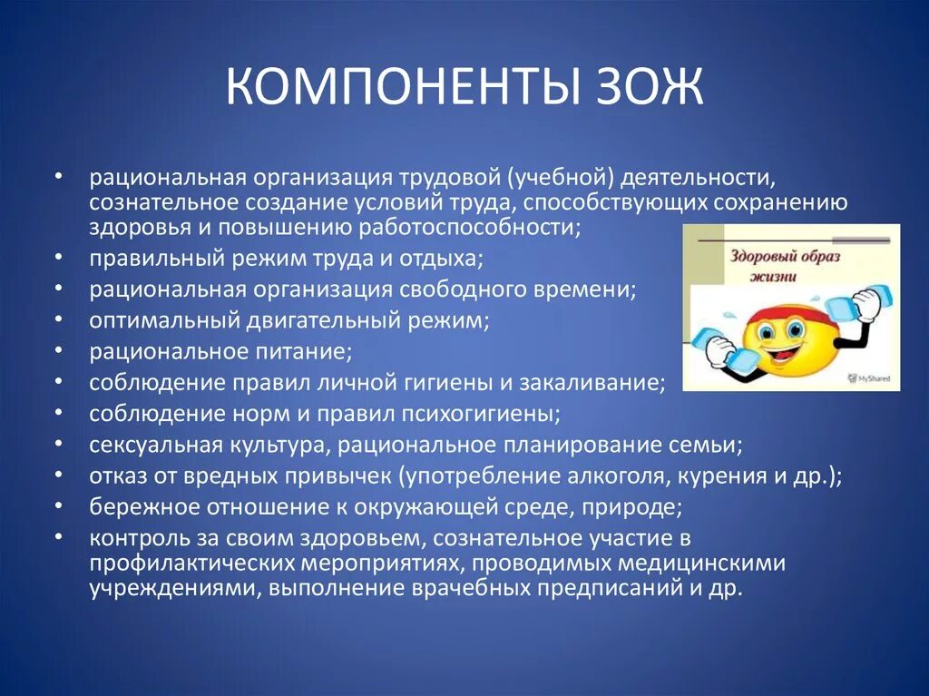 Компоненты зож