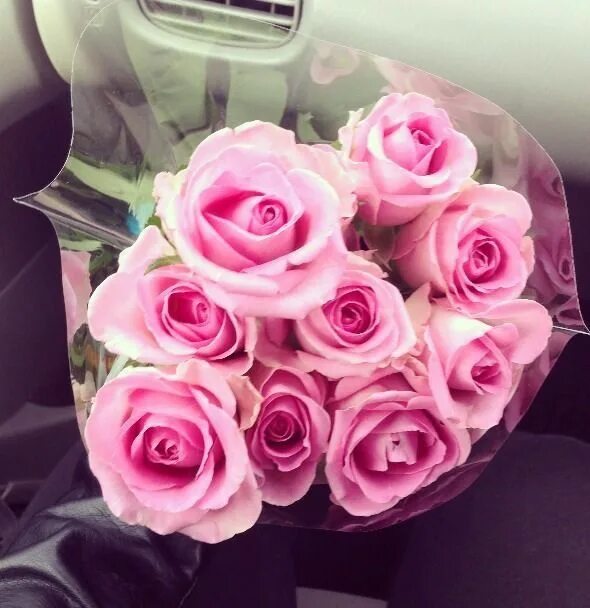 beautiful, congratulations and cute - image #3261741 on Favim.com