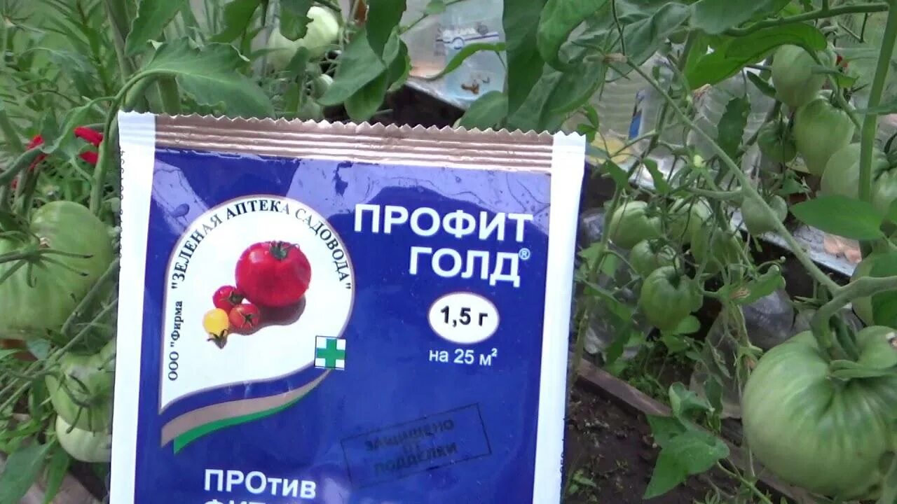 Профит аналоги. Профит голд 6 гр. Профит аналоги. Профит голд от фитофторы. Манкоцеб фунгицид.