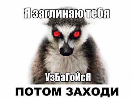 Мем узбагойся картинки