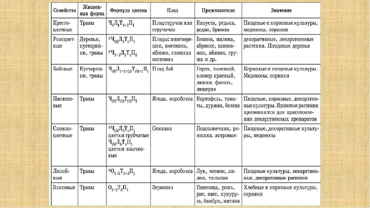 Биология 20 параграф 6 класс краткое содержание. Характеристика семейств двудольных растений таблица. Таблица семейства цветковых растений 6 класс биология. Семейства класса двудольные таблица. Семейство двудольных растений таблица 6 класс.