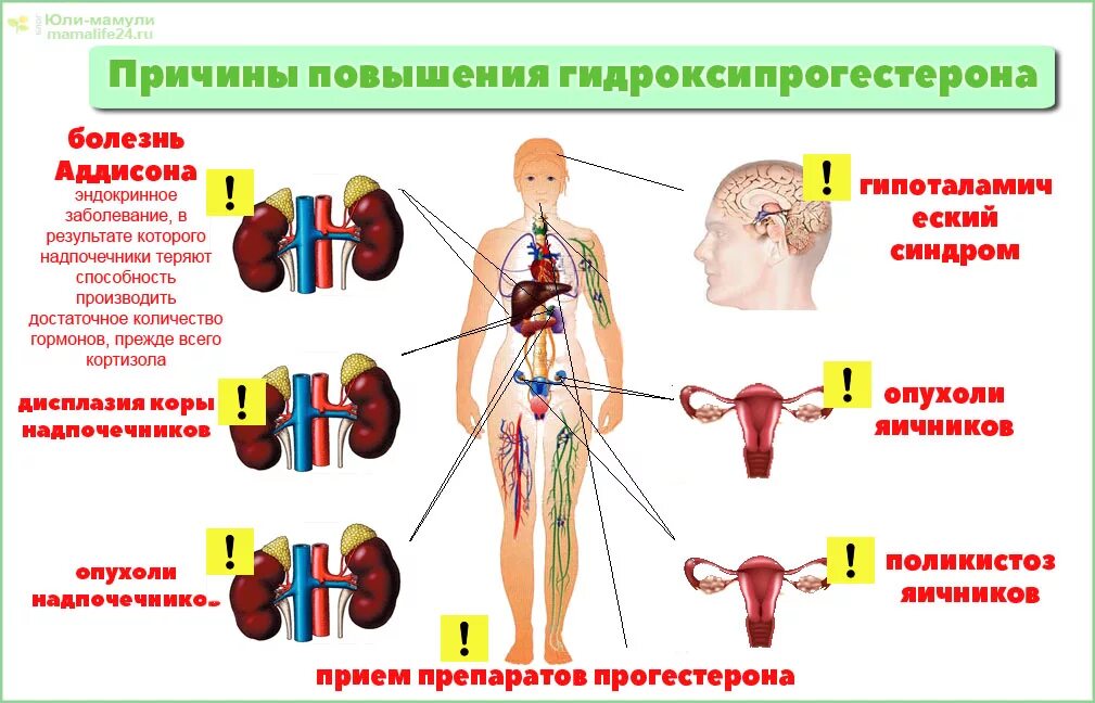 Гормон опг
