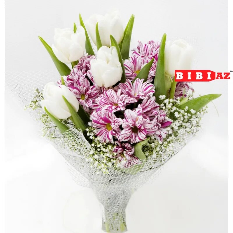 букет из тюльпанов и хризантем. букет из хризантем и тюльпанов небольшой. букет из тюльпанов и хризантем. букет из тюльпанов и хризантем. букет из тюльпанов и хризантем.