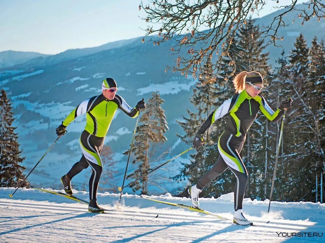 Три лыжных спортсмена. Лыжный спорт коньковый ход лыжи. Бег на лыжах. Катание на беговых лыжах. Беговые лыжи спорт.