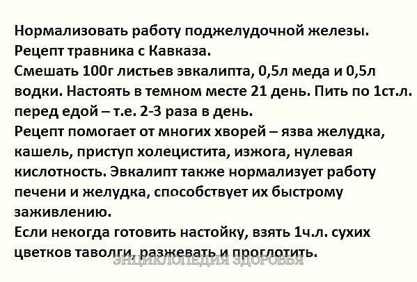 Овес для лечения поджелудочной железы и печени. Народные рецепты лечения поджелудочной железы. Настойки для лечения поджелудочной железы. Поджелудочная железа лечение народными средствами. Лечение поджелудочной железы овсом.