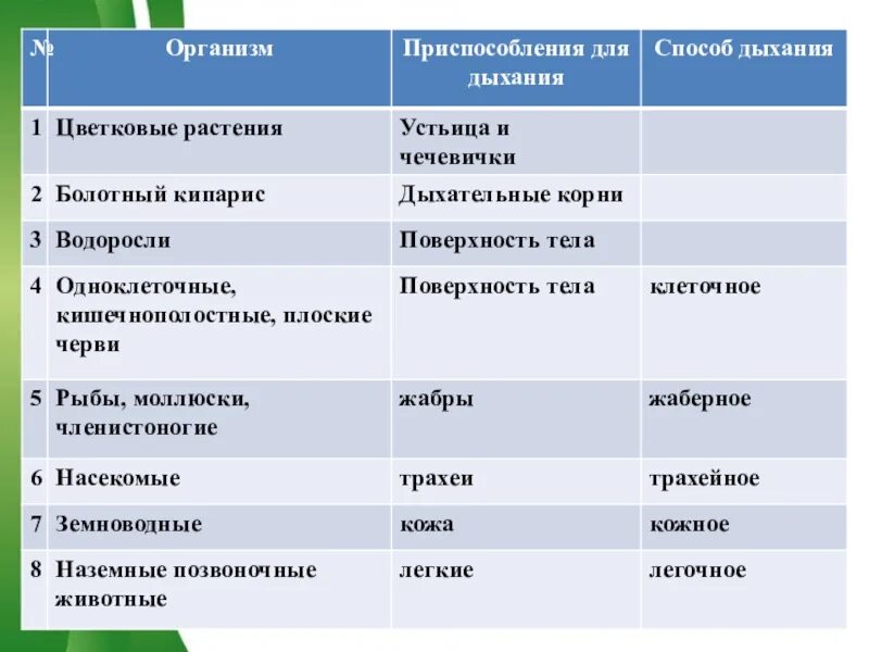 В каких клетках происходит процесс дыхания растений. Органы дыхания системы таблица 7 класс биология. Таблица дыхательная система животных 7 класс по биологии. Таблица по биологии 7 класс органы дыхания. Таблица органы дыхания животных 6 класс биология.