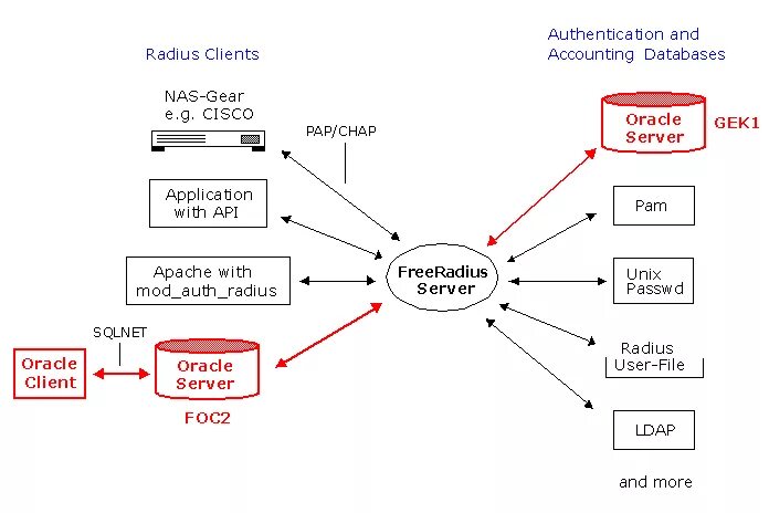 Using oracle