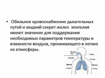 Время слова дышит
