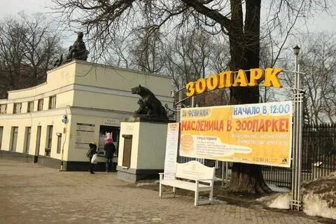 Билеты в зоопарк калининград