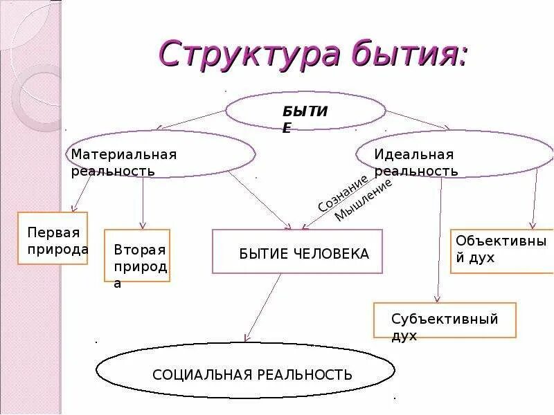 Он выделил в структуре