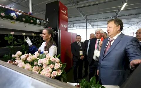 Розы мордовия