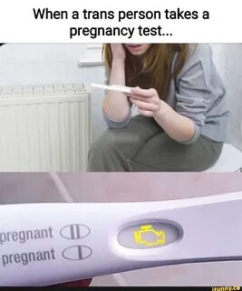 cat pregnancy test meme - Alia Poulin.