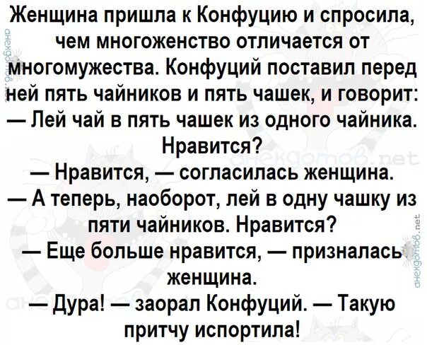 Дура анекдот. Прикол такую притчу испортила. Такую притчу испортила закричал Конфуций. Анекдоты притчи. Анекдоты про многоженство.