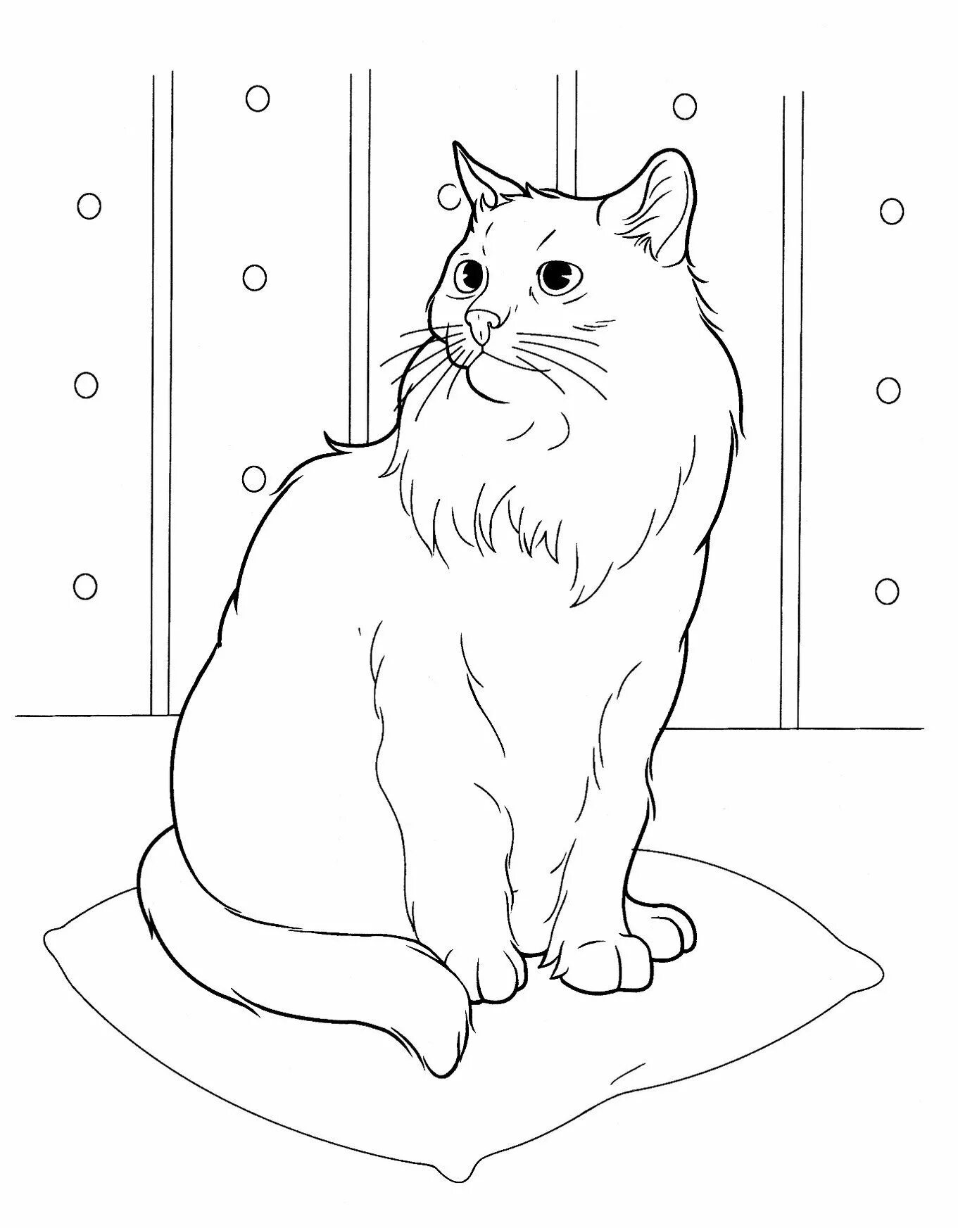 Рисунок домашнего животного 1 класс. Раскраска кот. кот раскраска для детей. кошка раскраска для детей. рисунок кошки для раскрашивания.