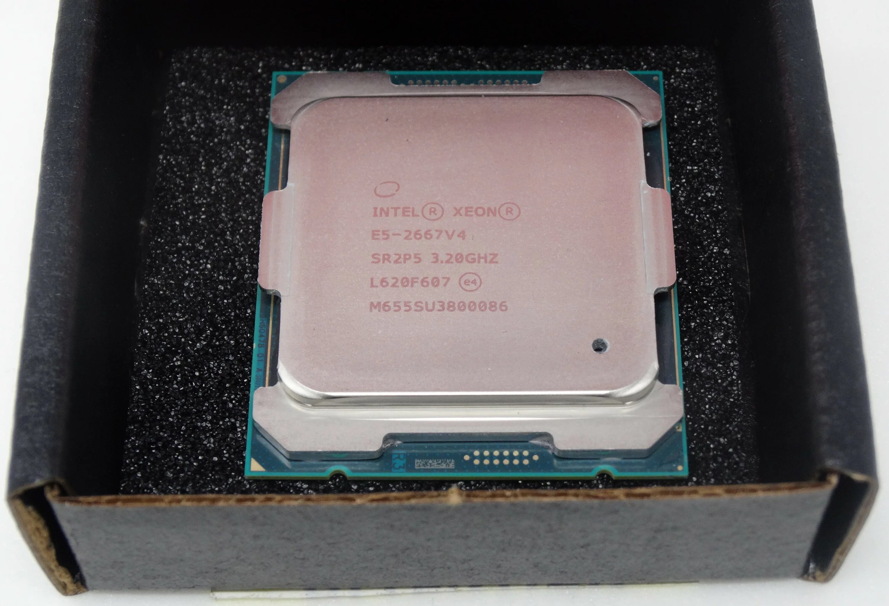 Intel xeon e5 2667 v4