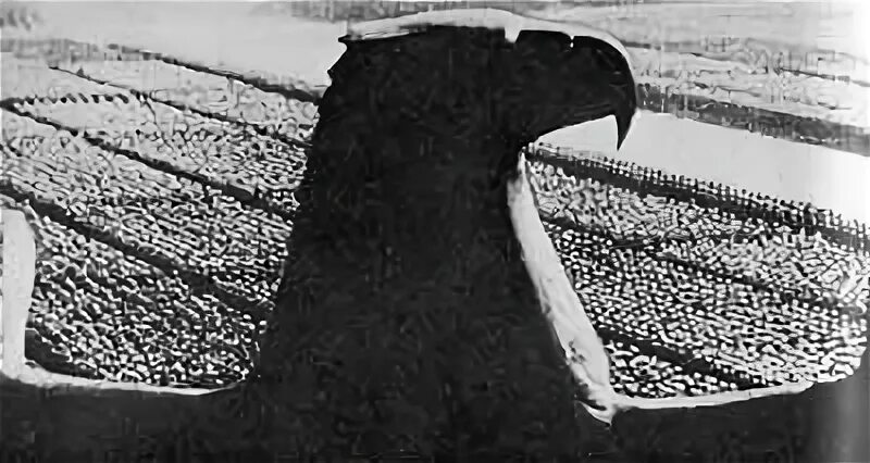 Продовольствие на фронт. Нависшая угроза вов. Фото над миром нависла угроза фашизма. Нависшая угроза. Угрозы нависшей над ним.