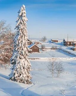 Поселок январский