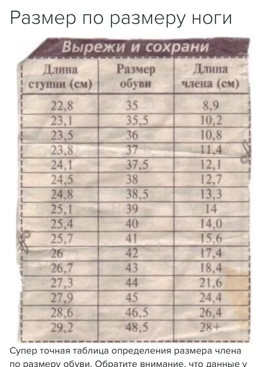 Что значит эрегированный