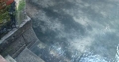 Вода 2 канал