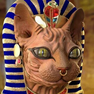 Про египетскую кошку