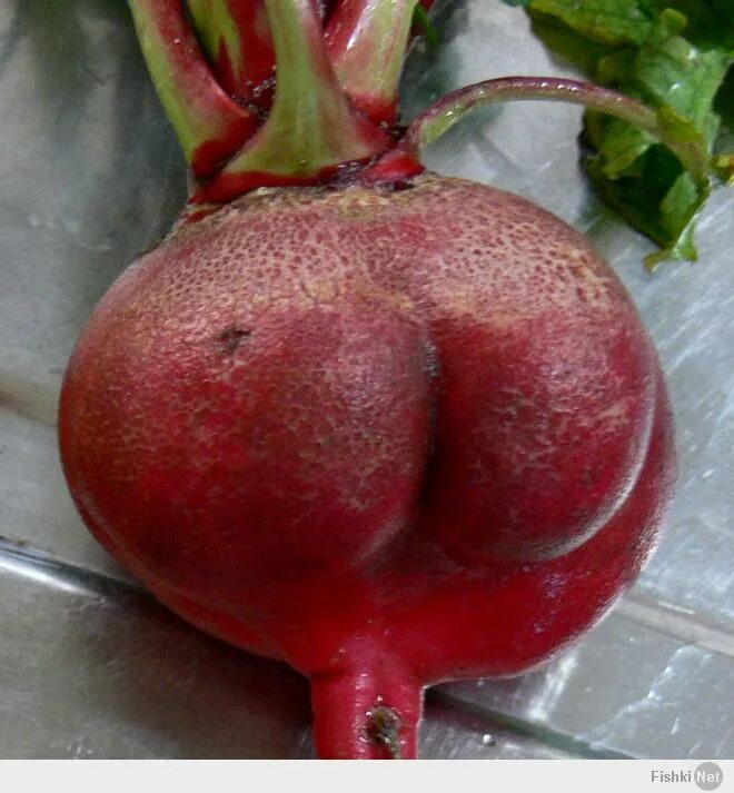 Овощ ставший фруктом. Овощи в виде органов. Овощи похожие на половые органы. Фрукты в виде органов.