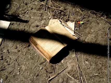 Книга упавшая