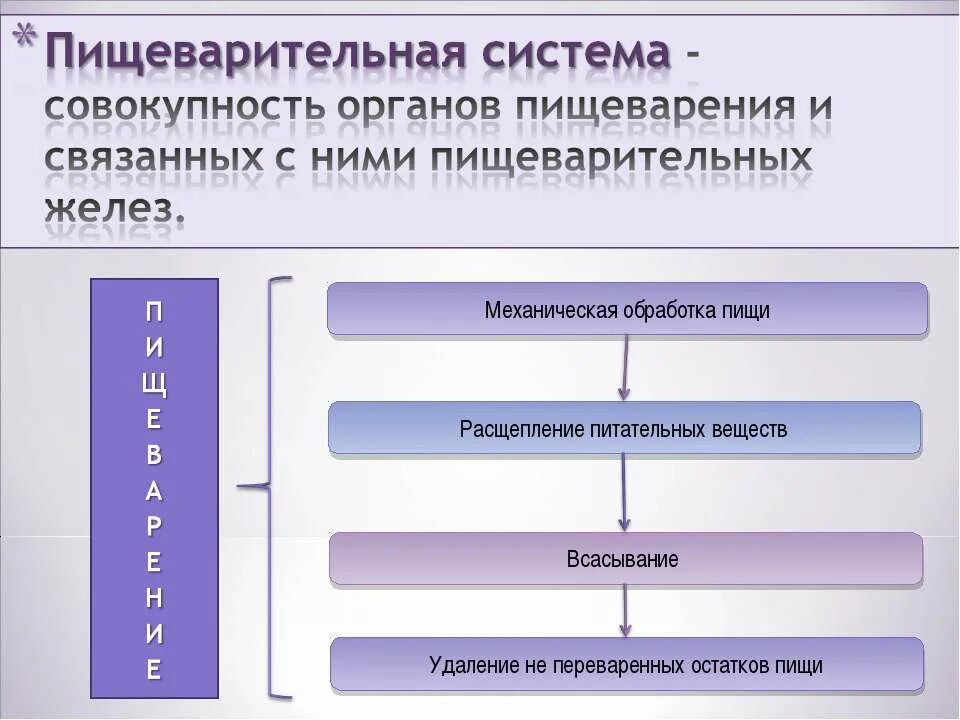 Установите последовательность обработки пищи