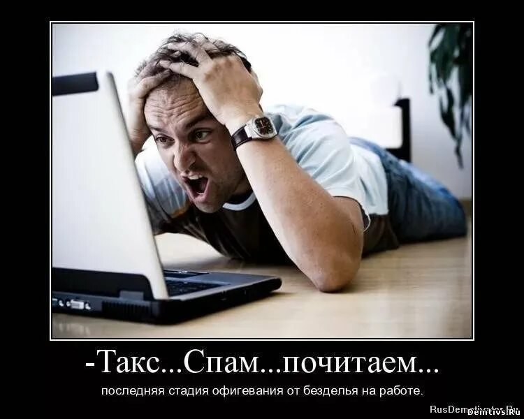 Последнее смешное. Последнее смешное