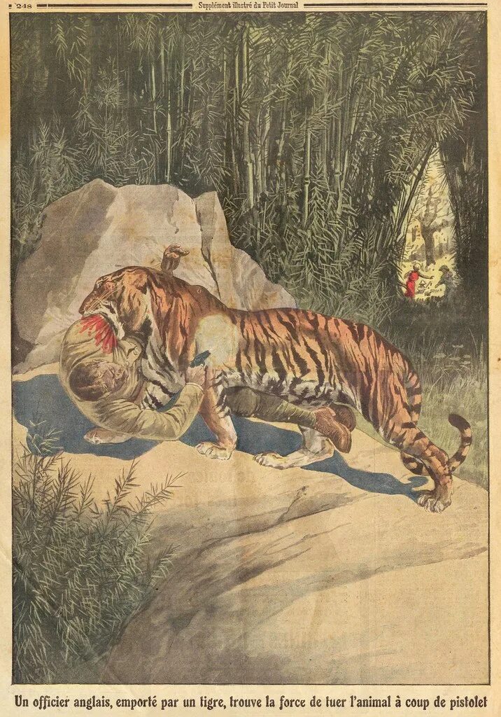 Золотая Ригма иллюстрации Павлишина. Охота на тигра в древности. Охота на тигров на слоне.