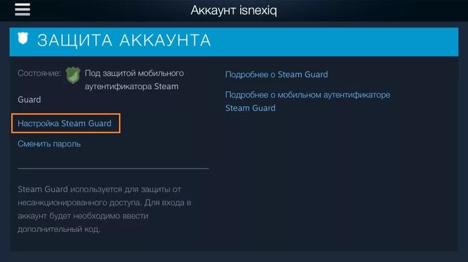 Код стим. Код стим гуард. Steam Guard пароль. Резервный код стим. Введите защитный код