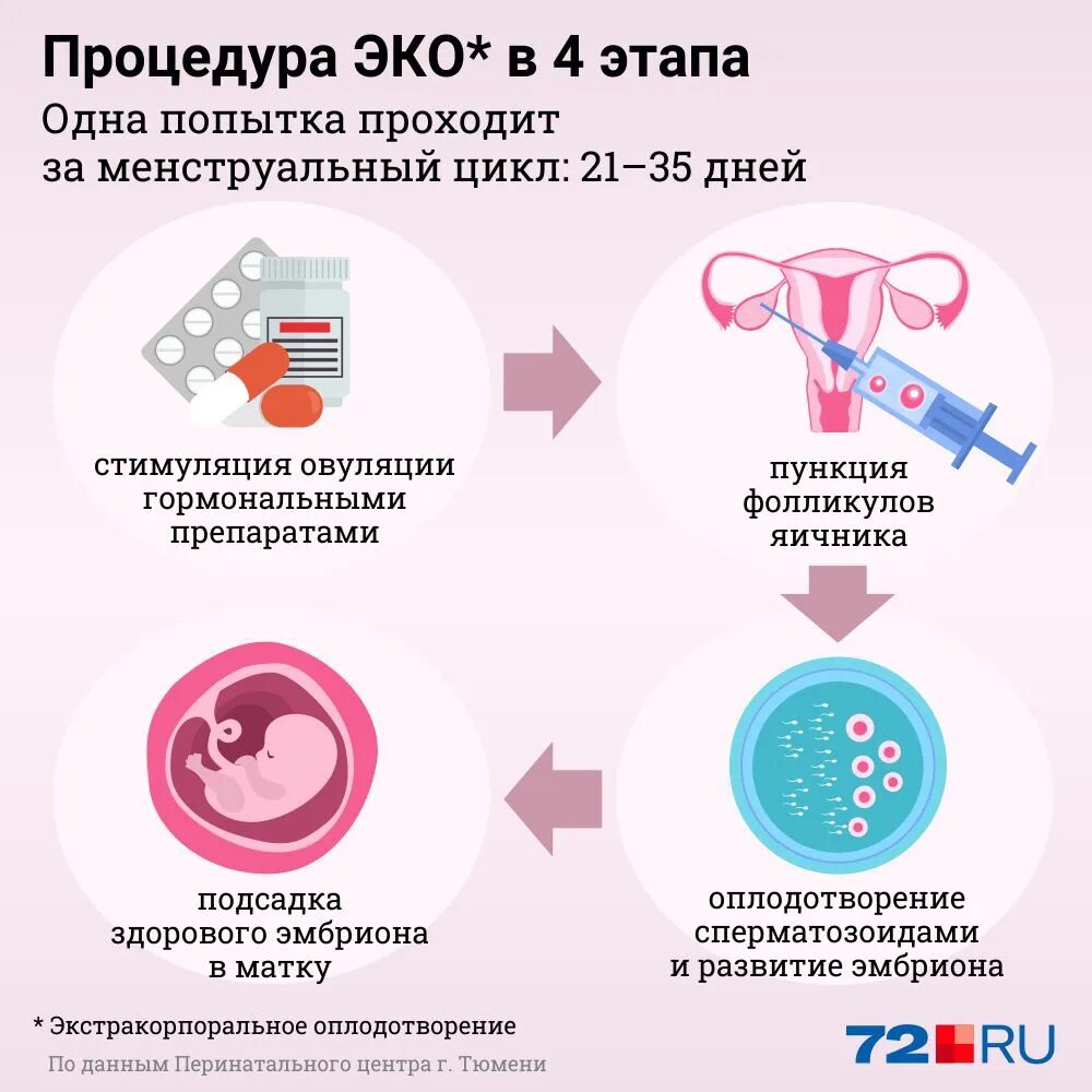 Эко. Эко процедура. Эко по шагам. Этапы экстракорпоральное оплодотворение. Эко сколько раз можно делать по омс