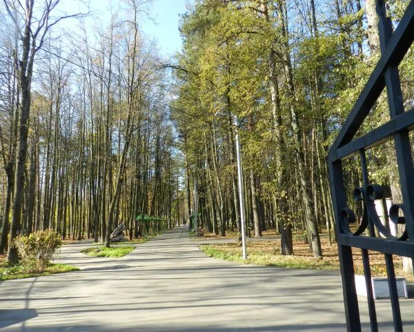 Расторгуевский парк. Расторгуевский парк в городе Видное. Расторгуевский парк Видное весной. Расторгуевский парк пруд.