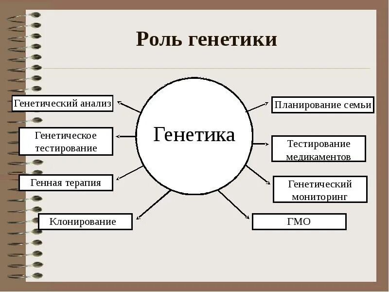 Роль генетики. Функции генетики. Роль генетики в современном мире. Роль генетических знаний в планировании семьи.