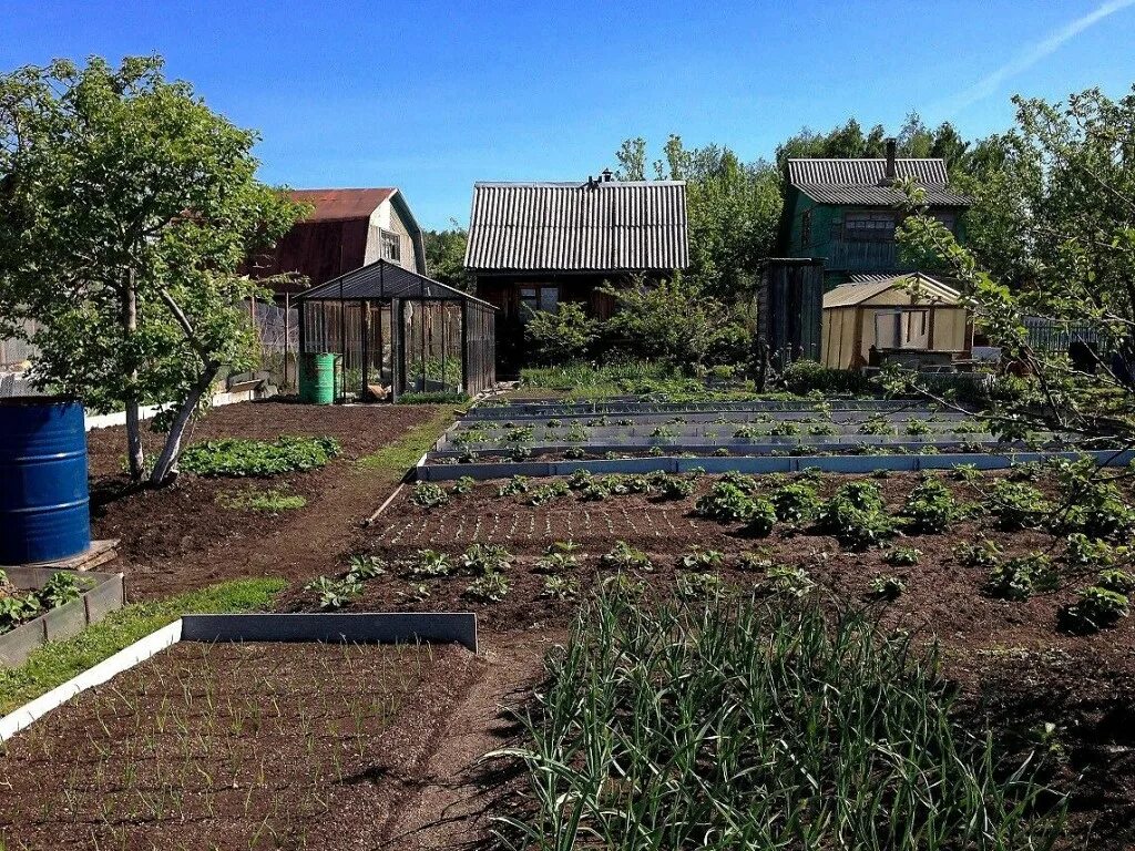 Купить огород участок. Деревенский дом с огородом. Дачный участок. Дачный домик с огородом. Деревенский домик с огородом.