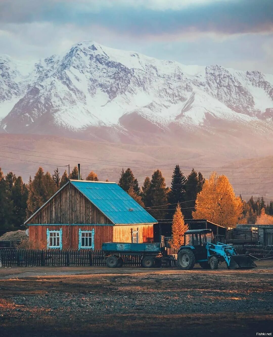 Курай горный Алтай. Алтай деревня. Деревни в горах Алтая.