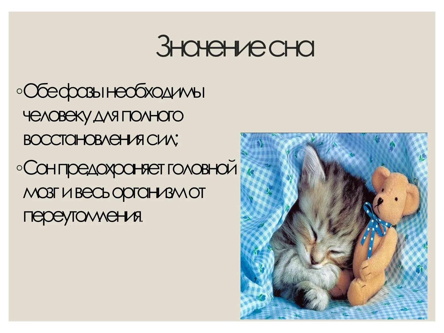 Найти значения снов. Найти значения снов