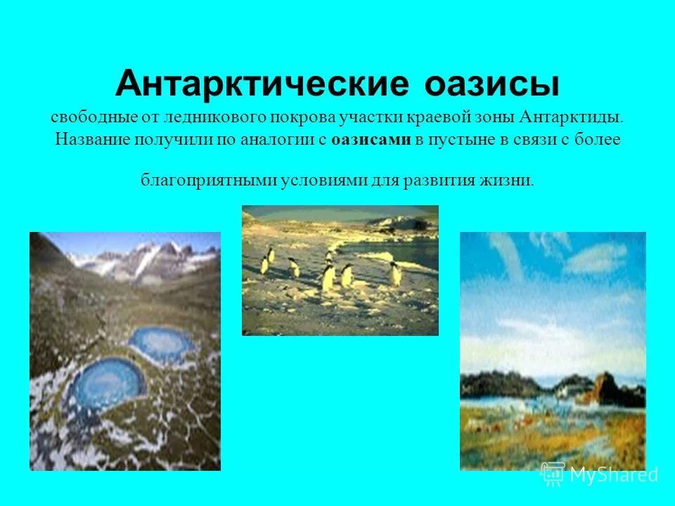 Сходства степи и пустыни. Антарктические оазисы. В чем различие и сходство оазисов сахары и антарктиды. Климатические особенности антарктиды. В чем различие и сходства в сахаре и антарктиде.