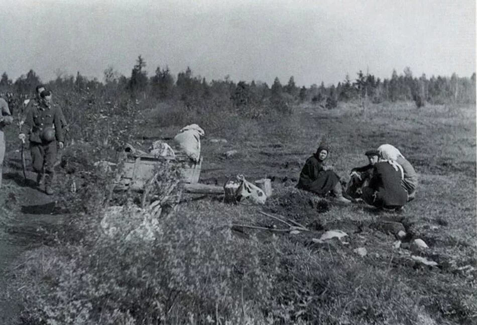 В феврале 1942 года образовался волховский плацдарм. Долина смерти Волховский фронт. Битва в мясном Бору 2 ударной армии.