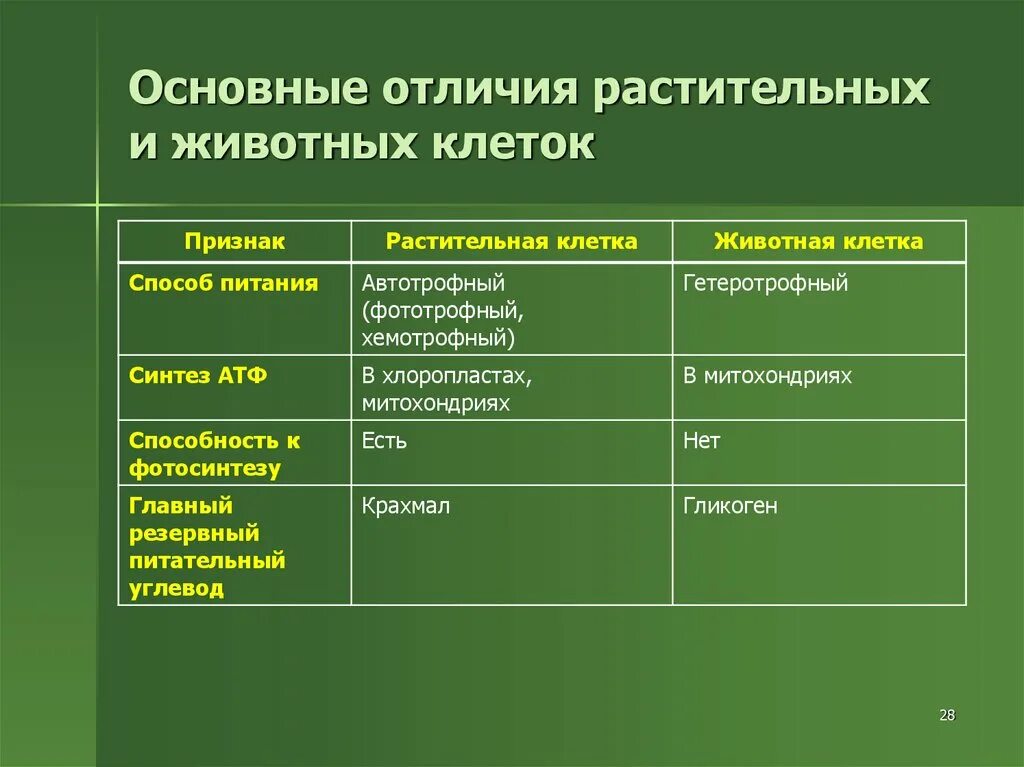 Отличие животных от растений кратко. Различие клетки животных и клетки растений. отличие растительной клетки от животной клетки. отличия растительной и животной клетки 5 класс биология. отличие строения животной клетки от растительной.